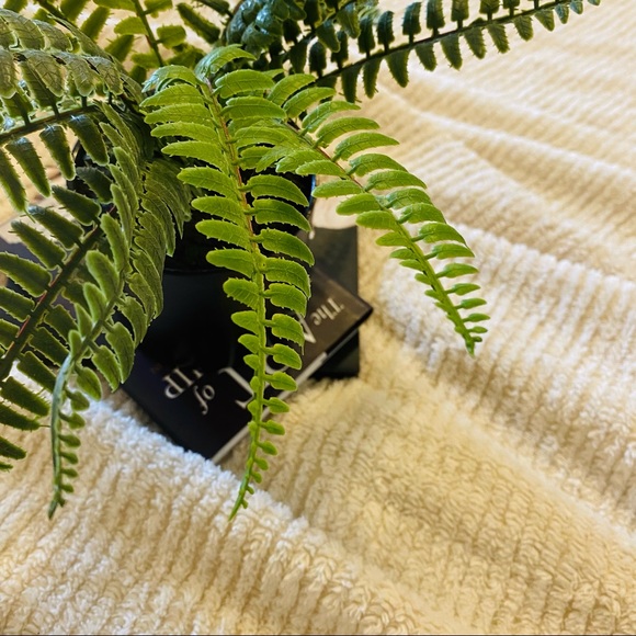 Light weight beige bedding set - Picture 4 of 4